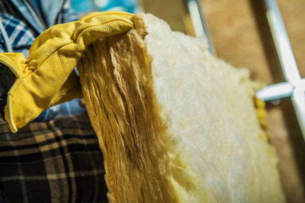 Best Residential Insulation in Bryant, AR