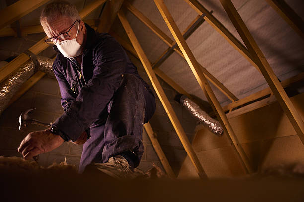 Best Insulation Maintenance and Repair in Bryant, AR